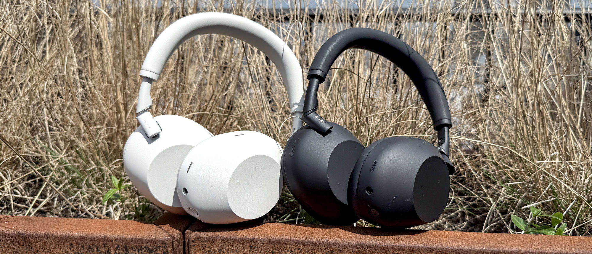 I tested the Sony WH-1000XM6 for three weeks — here's what I think of them