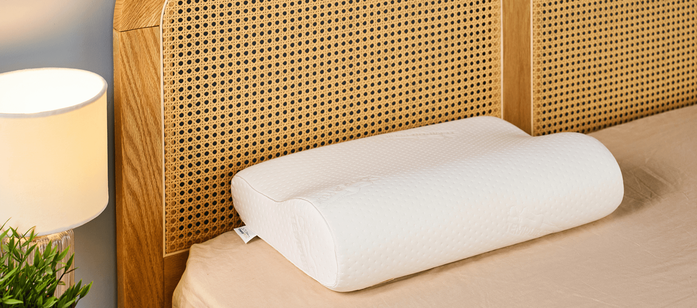Tempur-Pedic Tempur-Neck Pillow review 2025: Soothing neck support for side and back sleepers