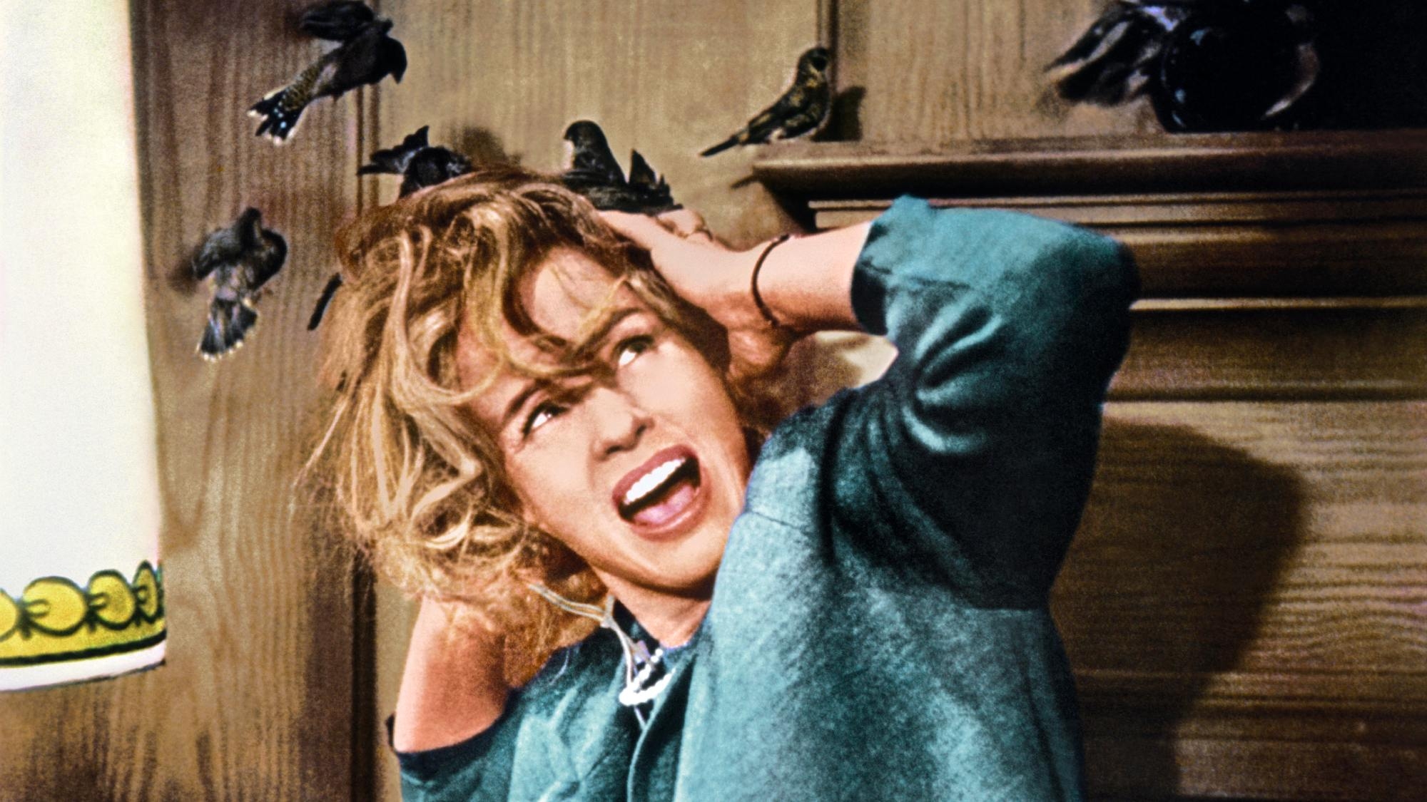 My favorite Alfred Hitchcock movie is still a terrifying watch — stream 'The Birds' now on Netflix