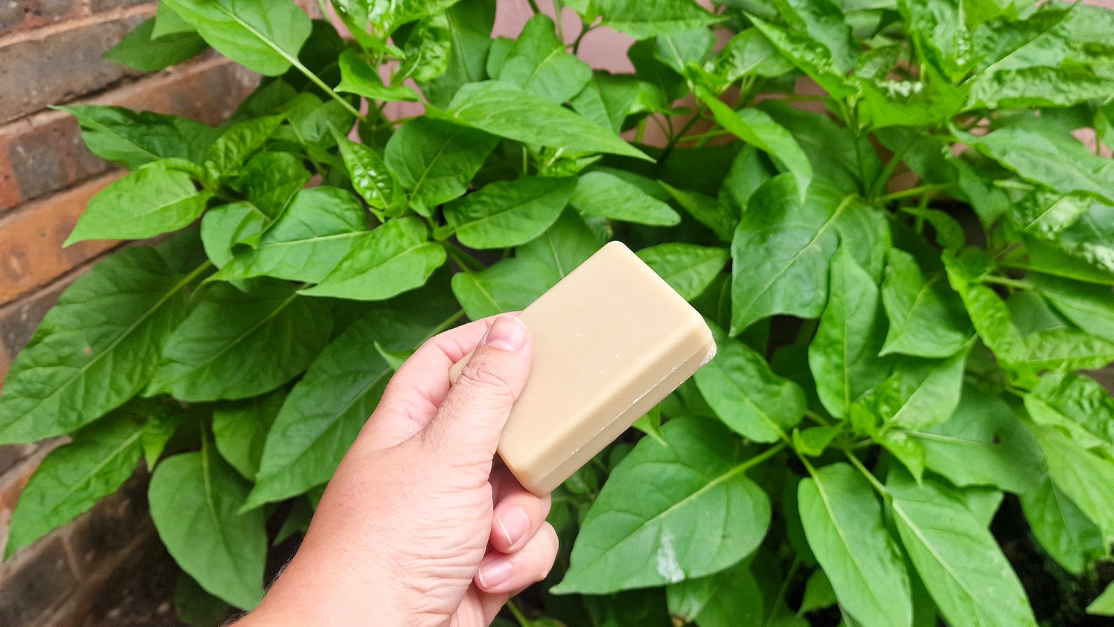 Ditch the gardening gloves — expert shares the 3 reasons you should be rubbing a bar of soap under your fingernails instead