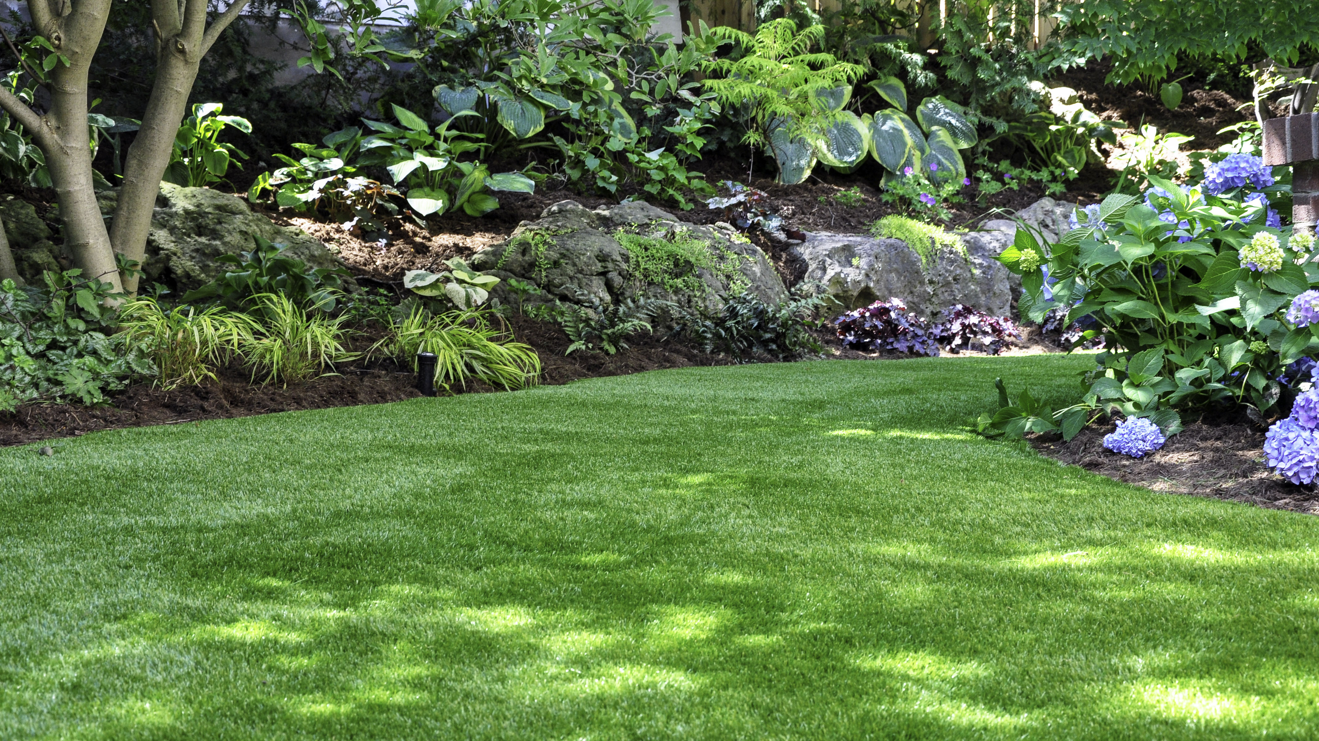 Can you still plant grass seed in June? Here's what the experts say