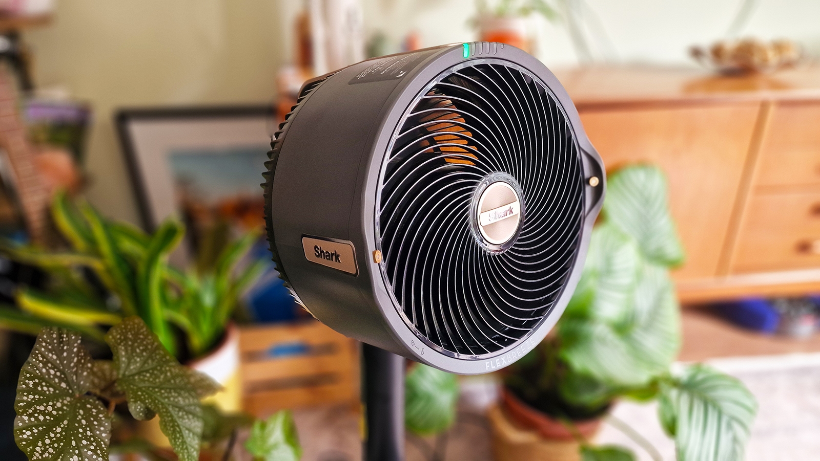 I just tested Shark's FlexBreeze misting fan — and it's 20% off now to beat the massive summer heat wave