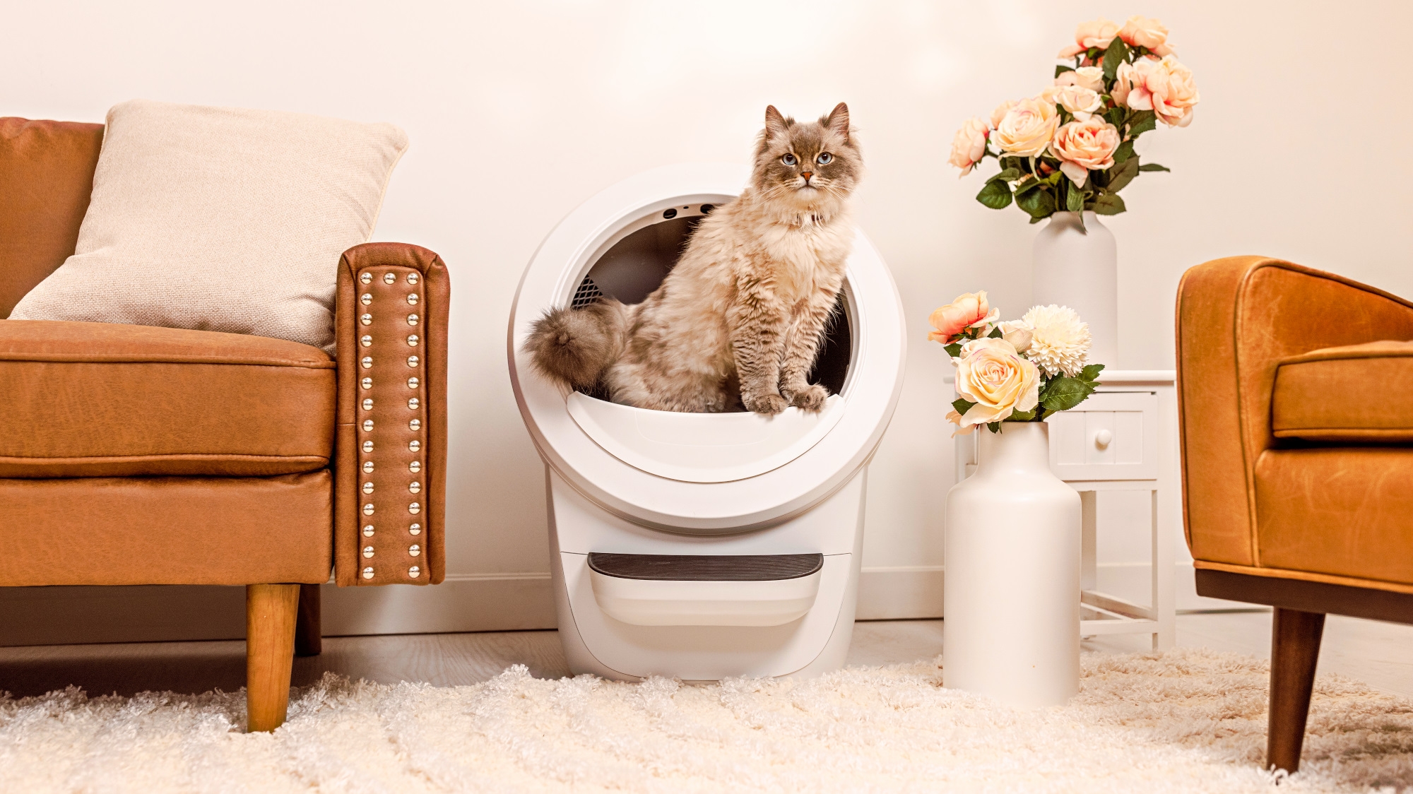 I didn't just stop scooping poop with the Litter Robot 4, it kept my cats healthy — here's how