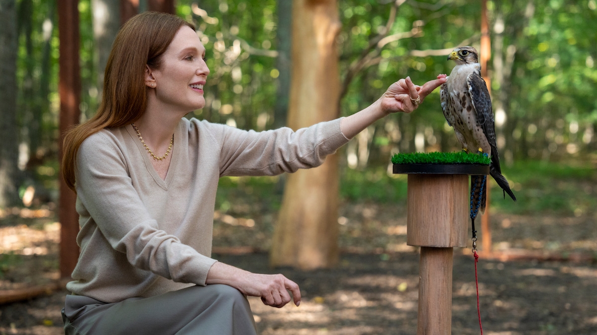 5 best shows like 'Sirens' to stream right now
