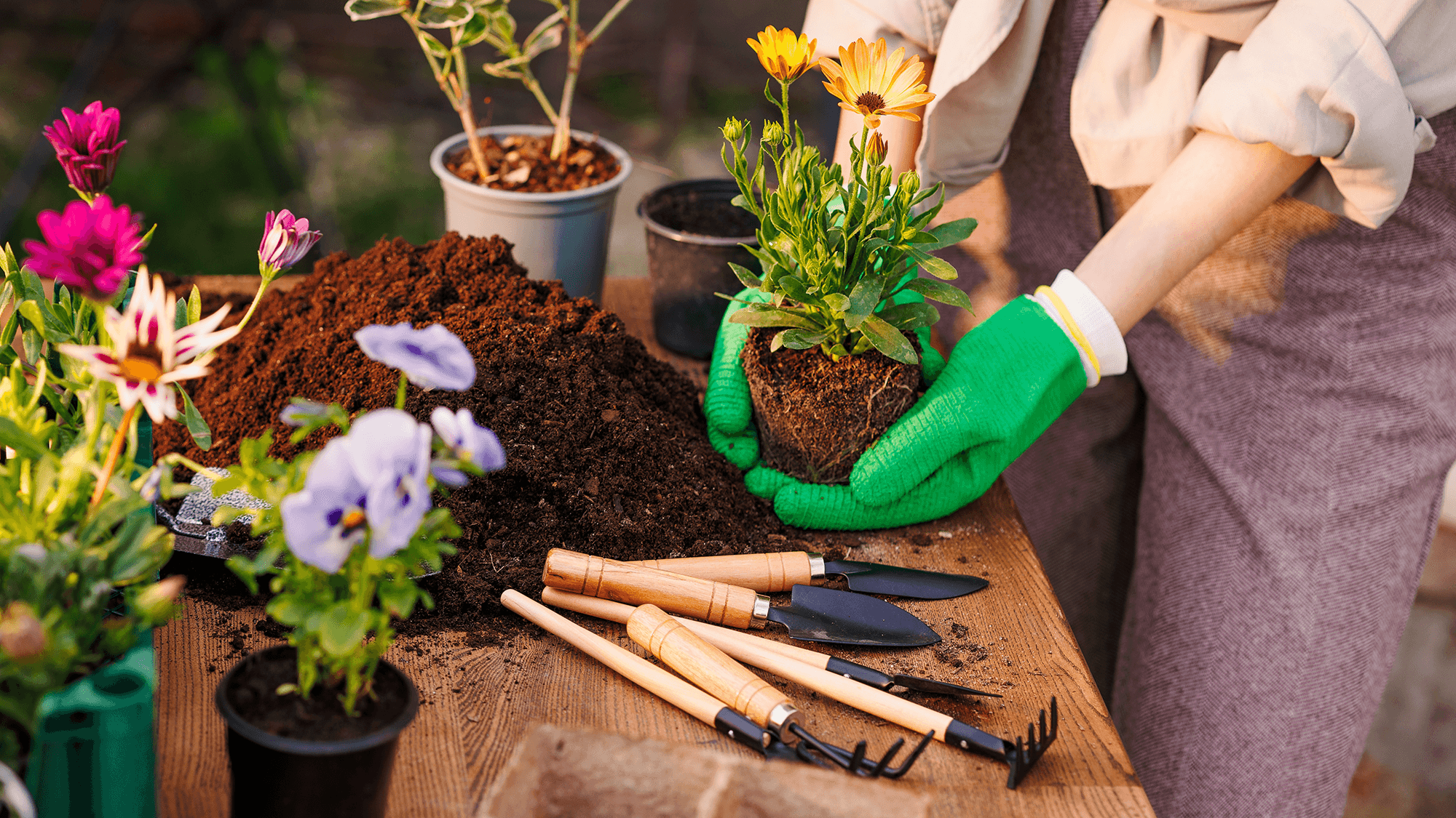 I'm a mom who loves gardening — here are 3 gifts I'd like to receive on Mother's Day
