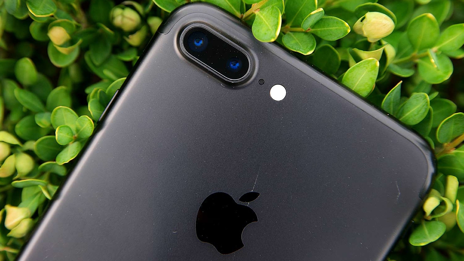 Apple now considers these two iPhone models as 'vintage'