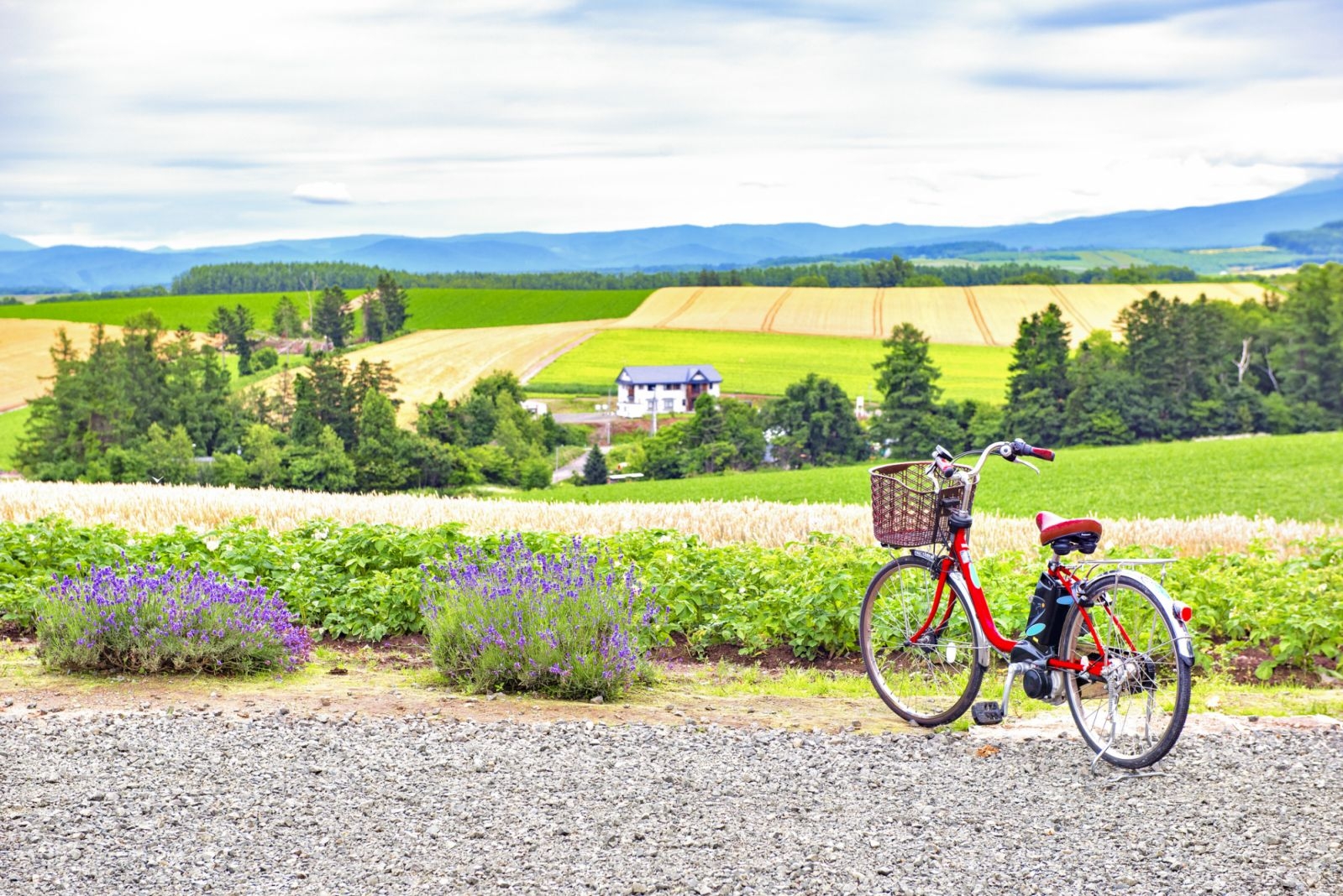 Pedal through paradise: 15 most beautiful tourist destinations for biking beginners