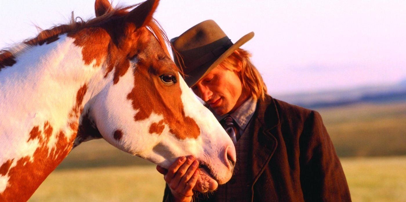 10 inspiring horse movies that gallop straight to your heart