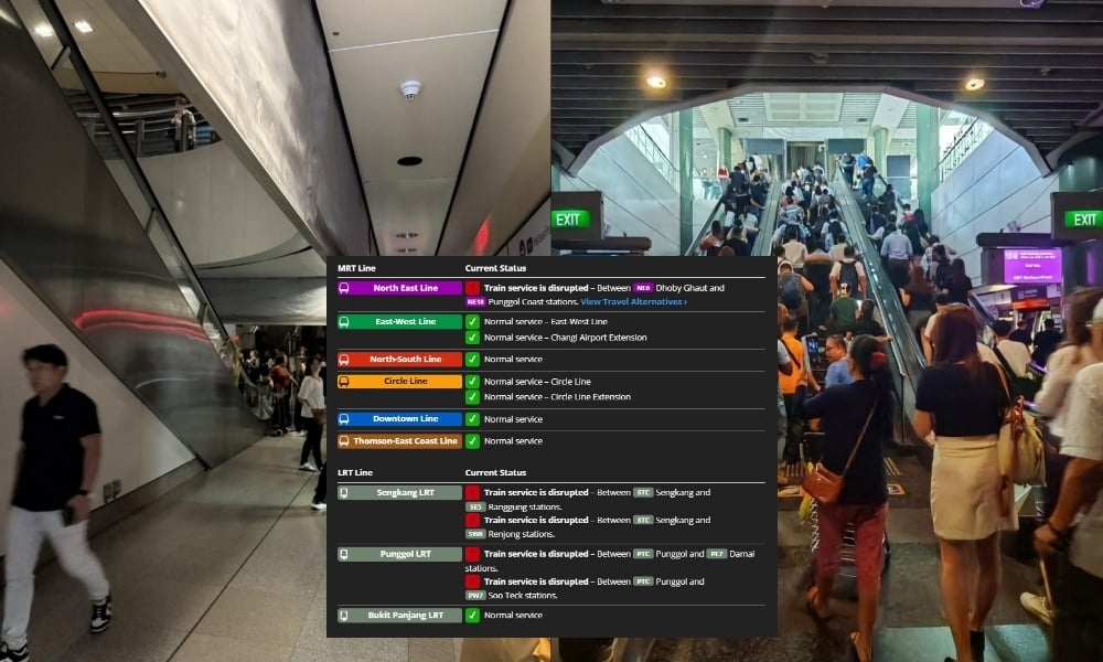 North East Line train services halted on 12 August due to power fault, affecting 11 stations
