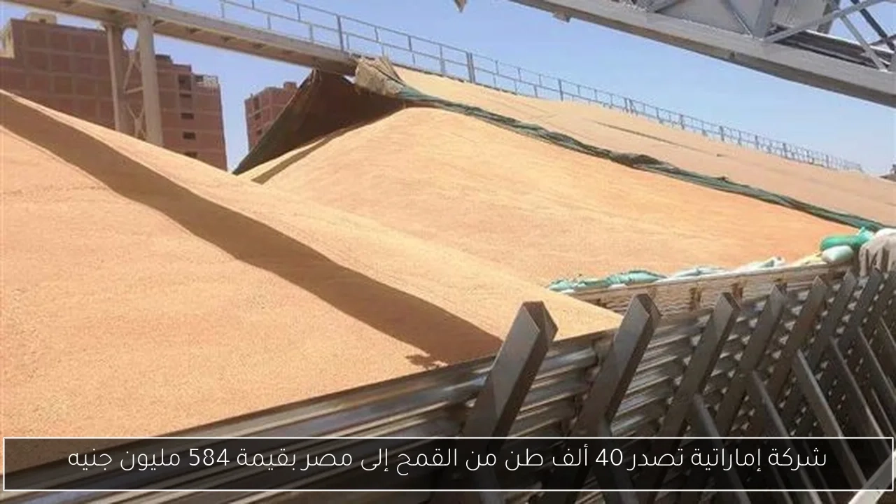 إسرائيل تهدد باعتراض سفينة المساعدات الإنسانية 'مادلين' المتوجهة إلى غزة
