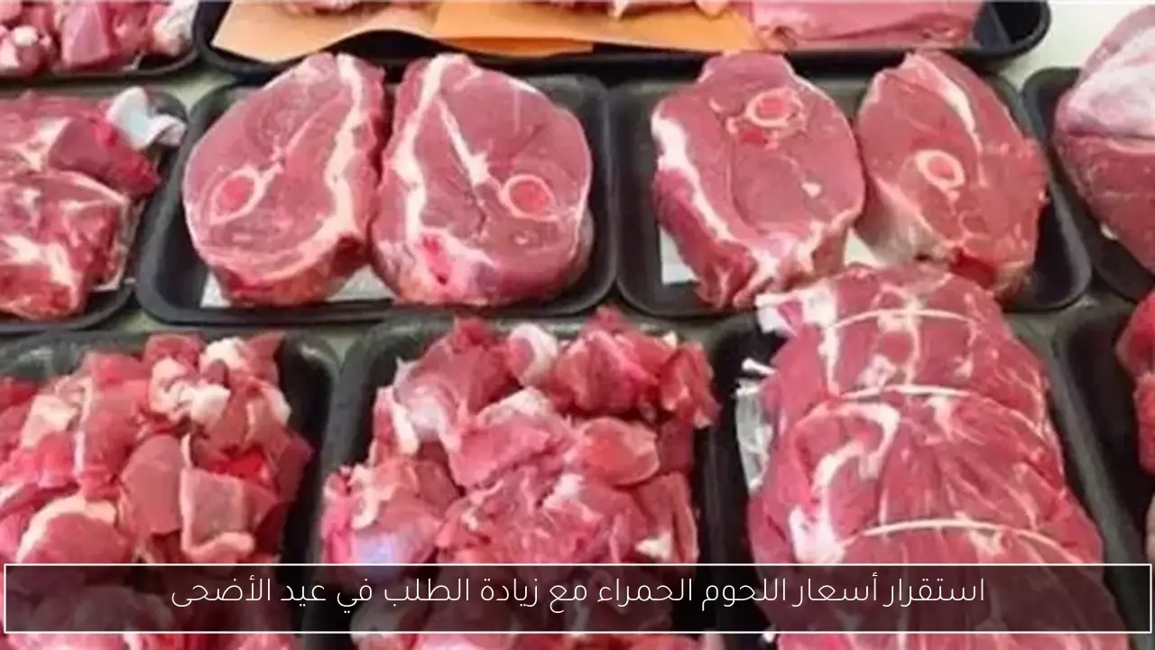 استقرار أسعار اللحوم الحمراء مع زيادة الطلب في عيد الأضحى