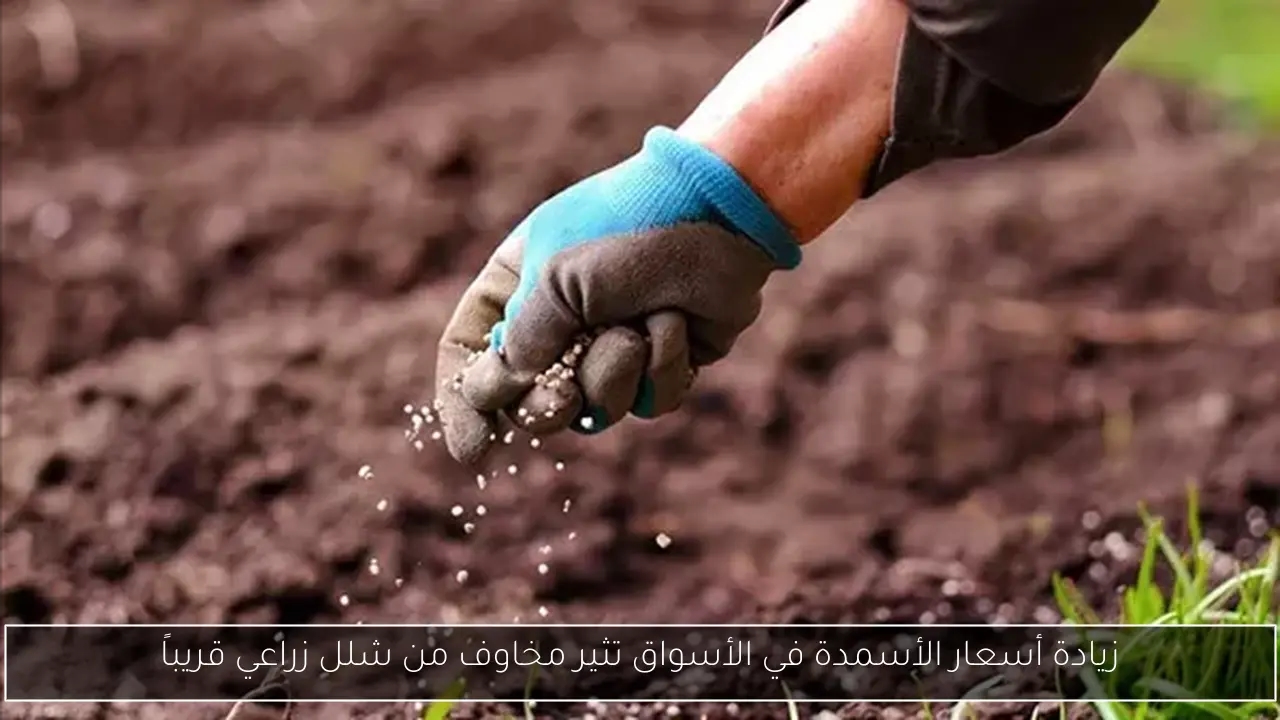 من الرابح الأكبر في مونديال الأندية؟ مقارنة بين إنفاق الأندية العربية وأرباحها