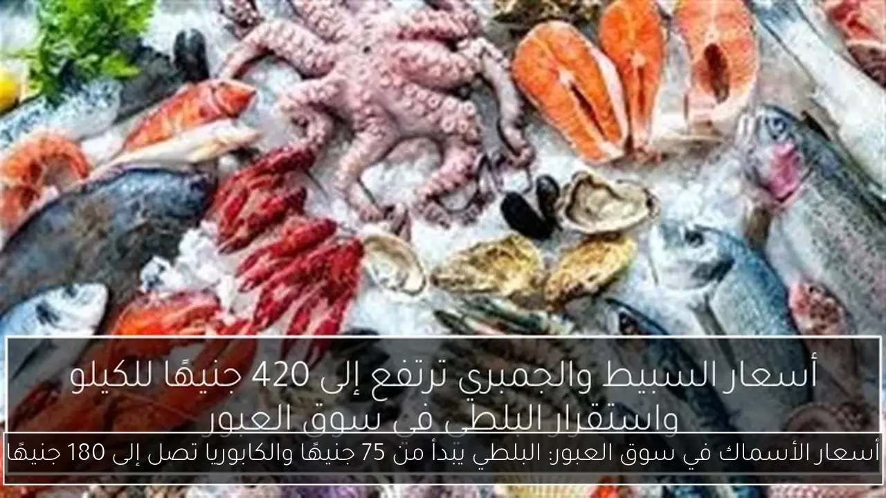 أسعار الأسماك في سوق العبور: البلطي يبدأ من 75 جنيهًا والكابوريا تصل إلى 180 جنيهًا
