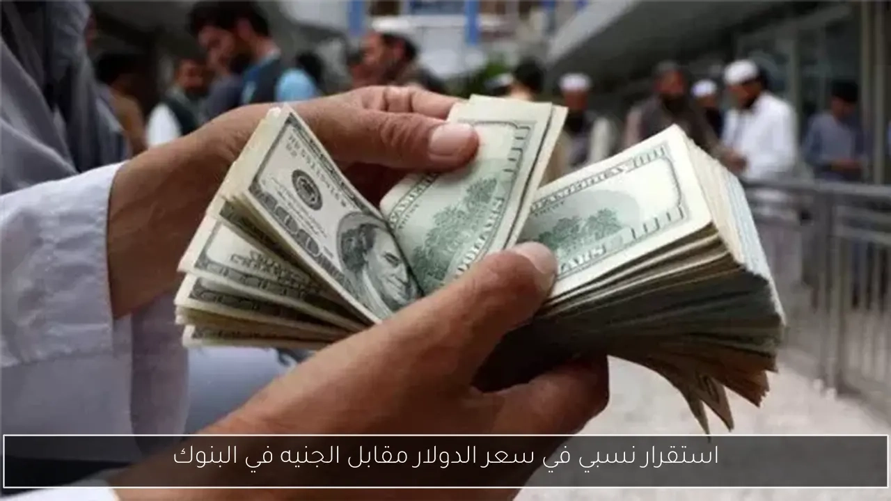 استقرار نسبي في سعر الدولار مقابل الجنيه في البنوك