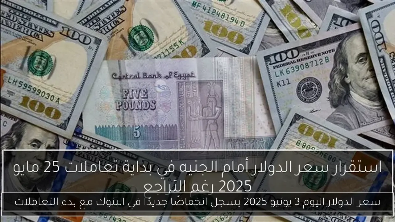 سعر الدولار اليوم 3 يونيو 2025 يسجل انخفاضًا جديدًا في البنوك مع بدء التعاملات