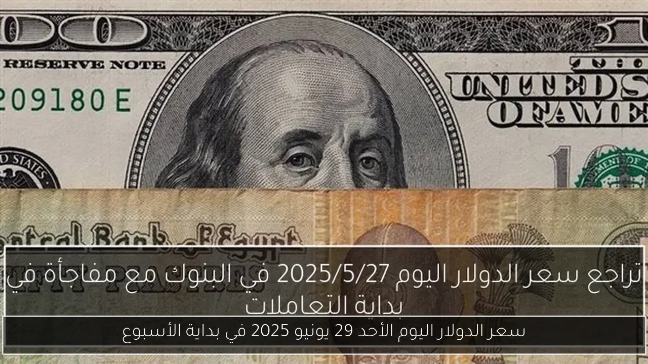 سعر الدولار اليوم الأحد 29 يونيو 2025 في بداية الأسبوع