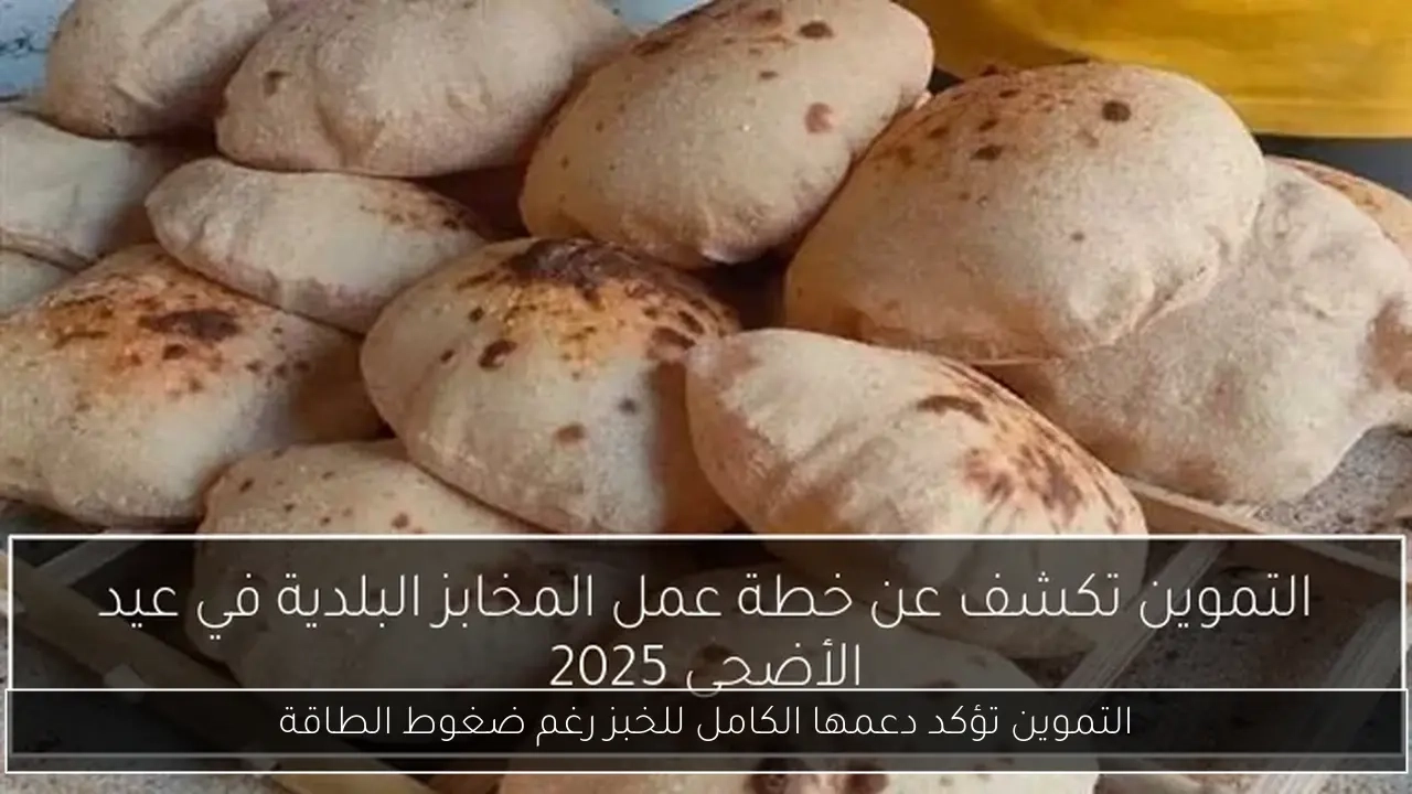 التموين تؤكد دعمها الكامل للخبز رغم ضغوط الطاقة