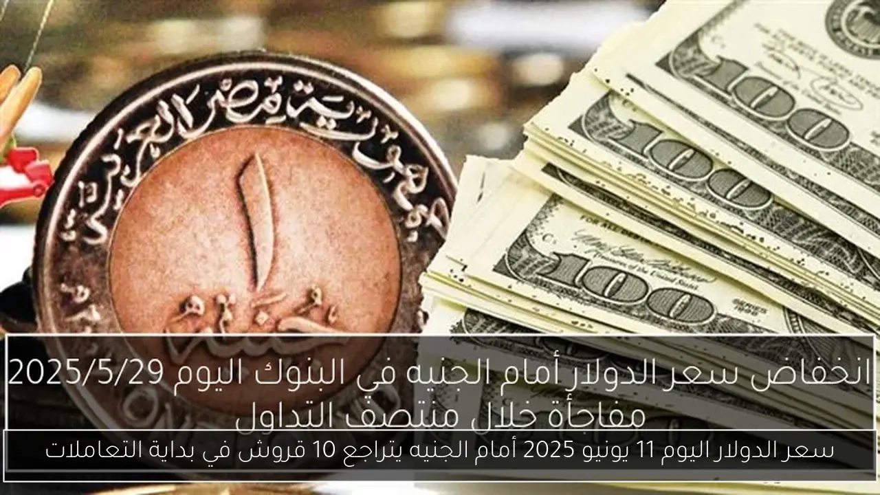 سعر الدولار اليوم 11 يونيو 2025 أمام الجنيه يتراجع 10 قروش في بداية التعاملات