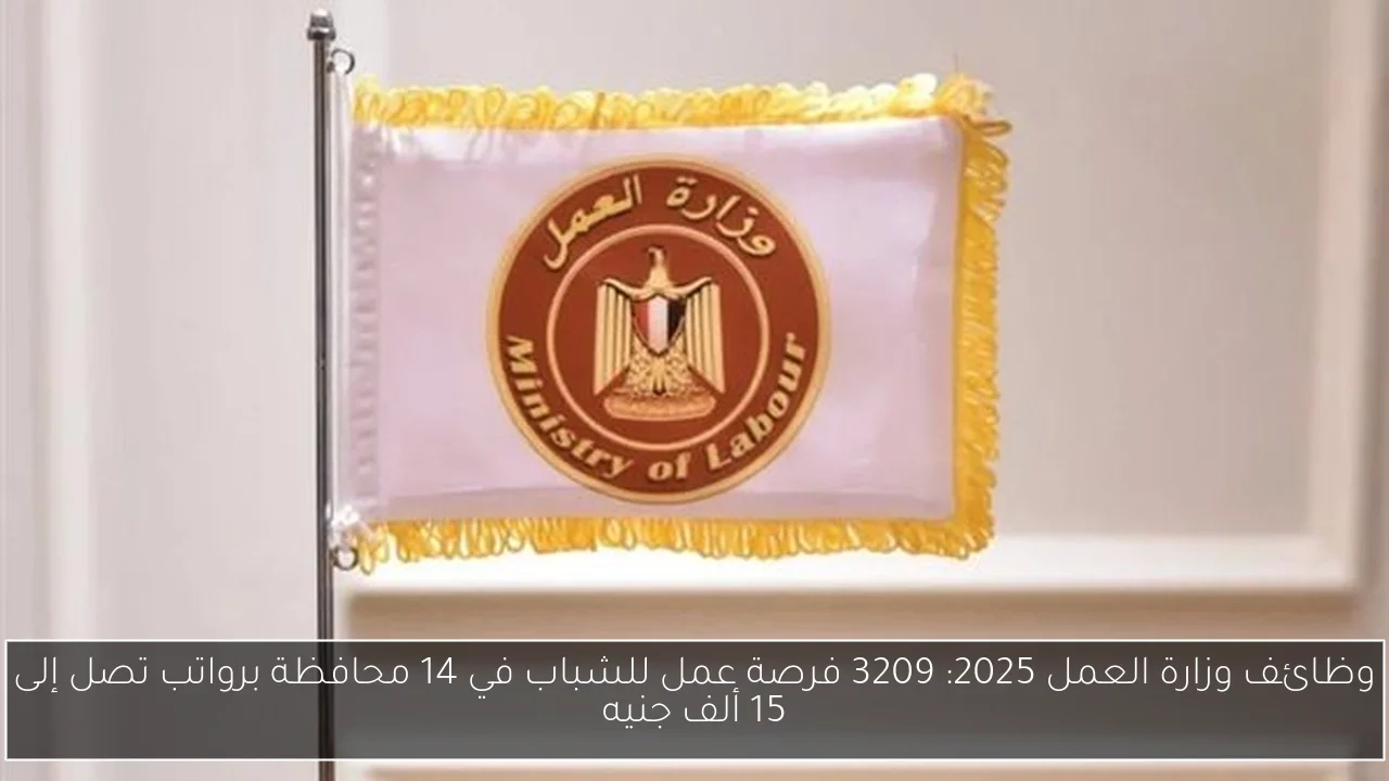 وظائف وزارة العمل 2025: 3209 فرصة عمل للشباب في 14 محافظة برواتب تصل إلى 15 ألف جنيه