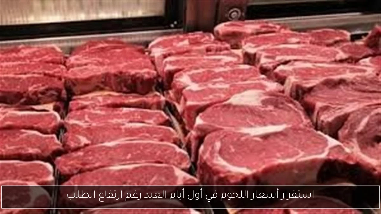 استقرار أسعار اللحوم في أول أيام العيد رغم ارتفاع الطلب