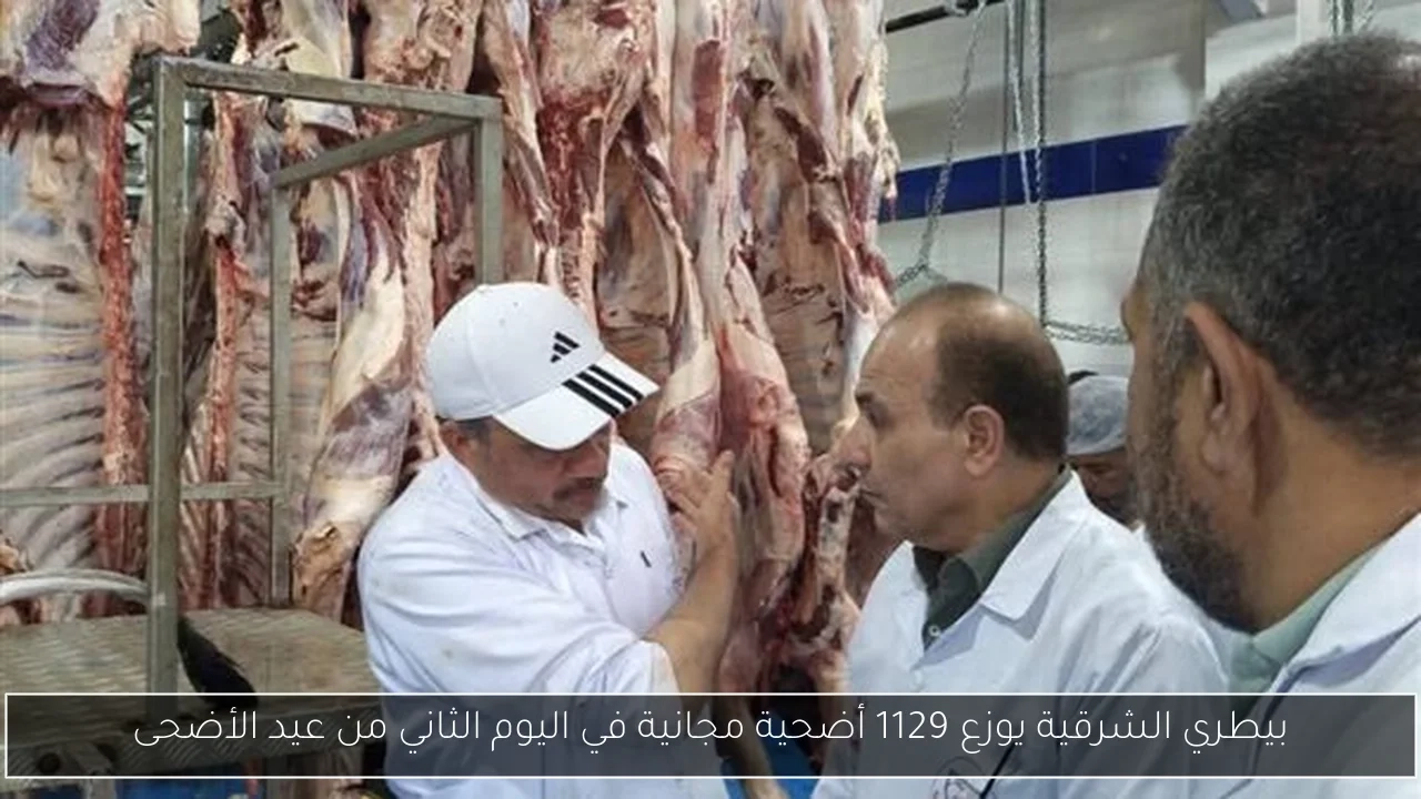 بيطري الشرقية يوزع 1129 أضحية مجانية في اليوم الثاني من عيد الأضحى