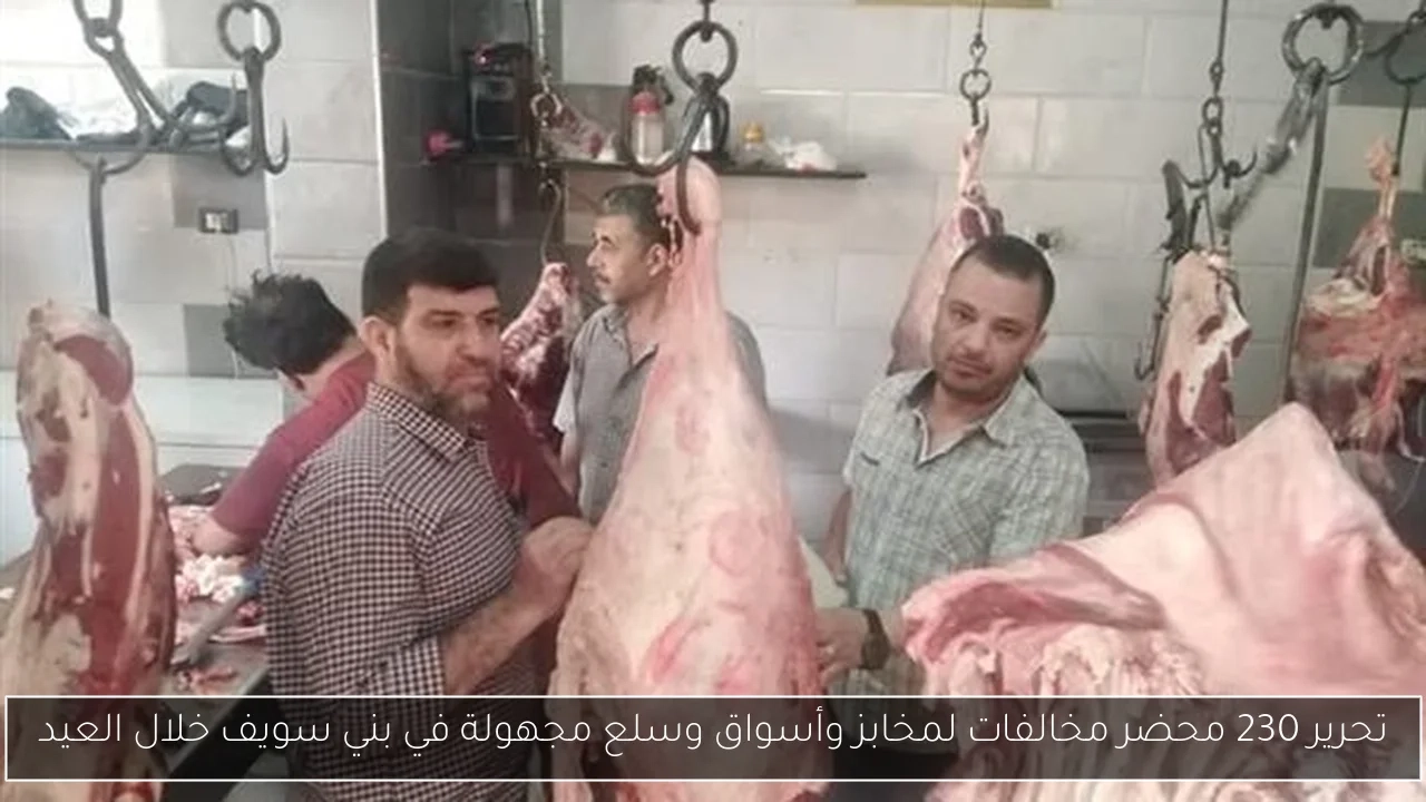 تحرير 230 محضر مخالفات لمخابز وأسواق وسلع مجهولة في بني سويف خلال العيد