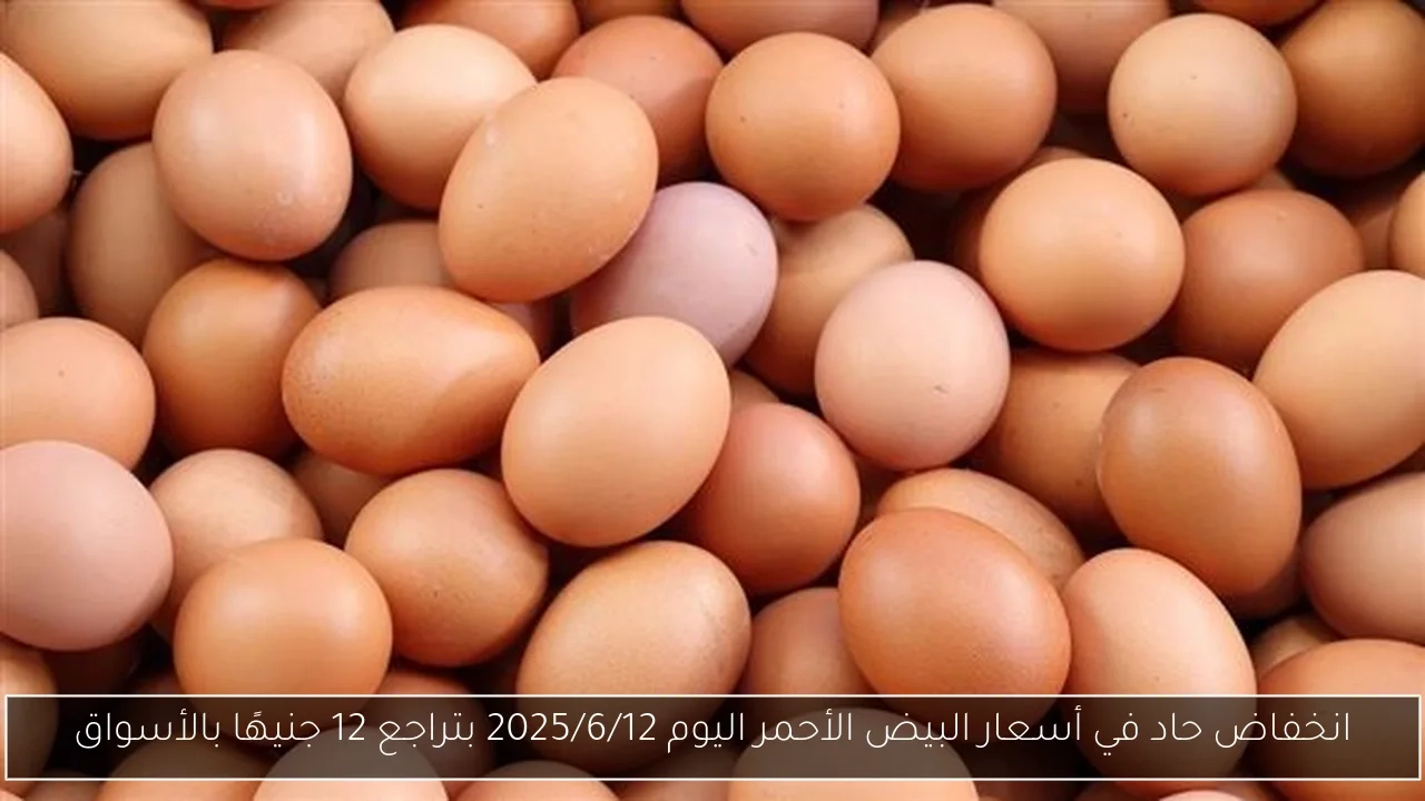 انخفاض حاد في أسعار البيض الأحمر اليوم 2025/6/12 بتراجع 12 جنيهًا بالأسواق