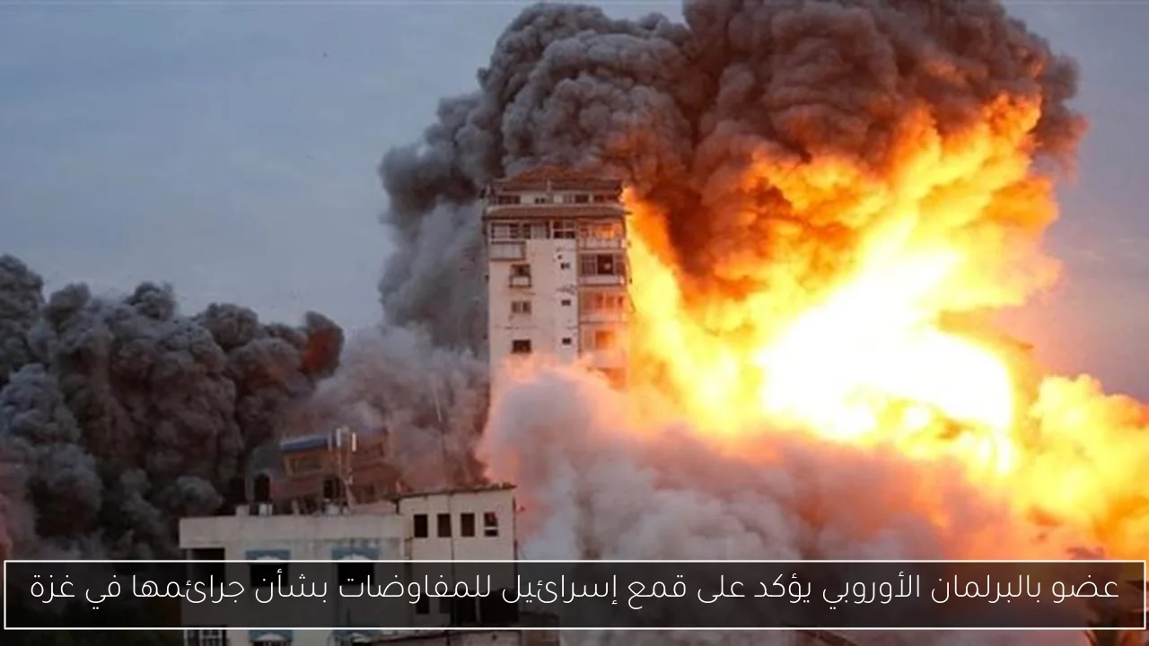عضو بالبرلمان الأوروبي يؤكد على قمع إسرائيل للمفاوضات بشأن جرائمها في غزة