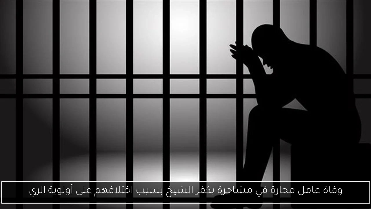 وفاة عامل محارة في مشاجرة بكفر الشيخ بسبب اختلافهم على أولوية الري