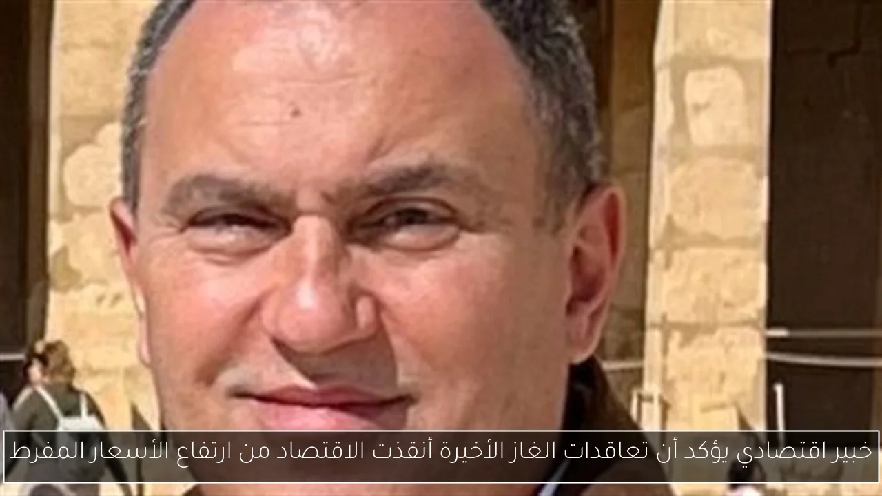خبير اقتصادي يؤكد أن تعاقدات الغاز الأخيرة أنقذت الاقتصاد من ارتفاع الأسعار المفرط