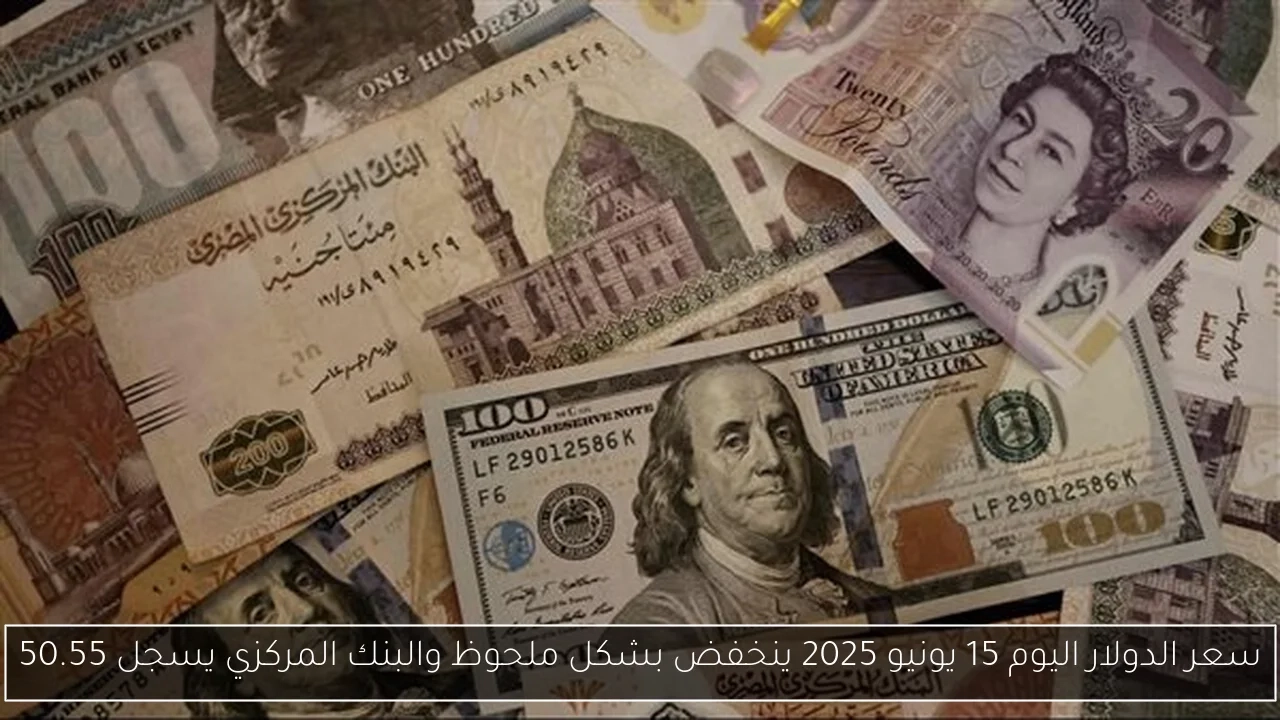 سعر الدولار اليوم 15 يونيو 2025 ينخفض بشكل ملحوظ والبنك المركزي يسجل 50.55