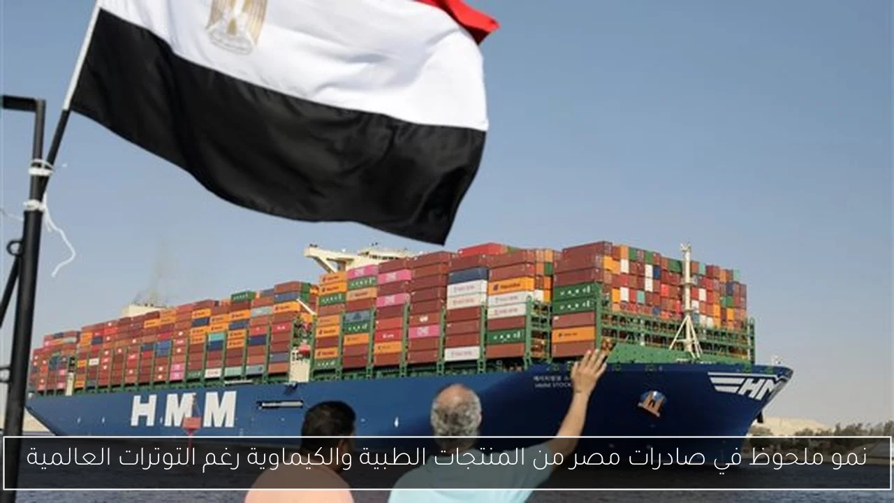 نمو ملحوظ في صادرات مصر من المنتجات الطبية والكيماوية رغم التوترات العالمية