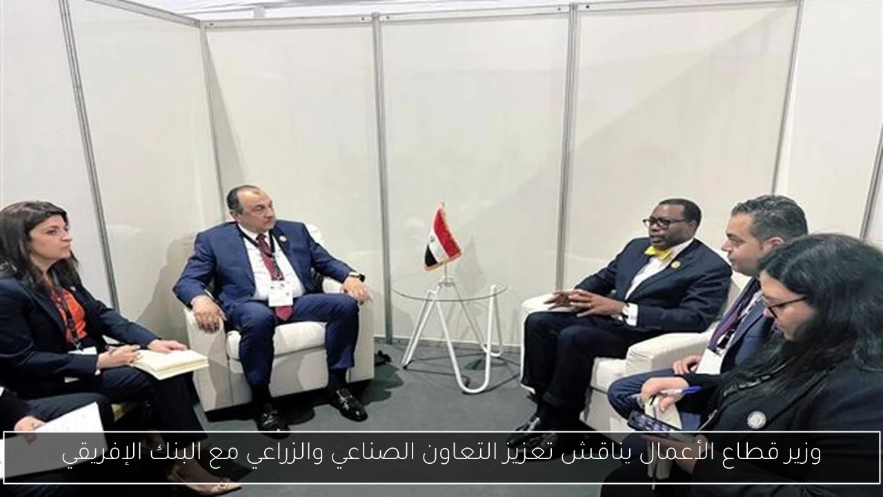 وزير قطاع الأعمال يناقش تعزيز التعاون الصناعي والزراعي مع البنك الإفريقي