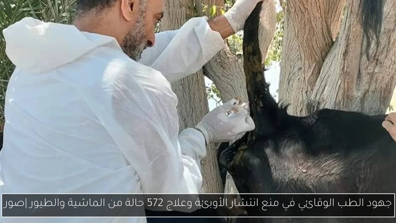 جهود الطب الوقائي في منع انتشار الأوبئة وعلاج 572 حالة من الماشية والطيور
