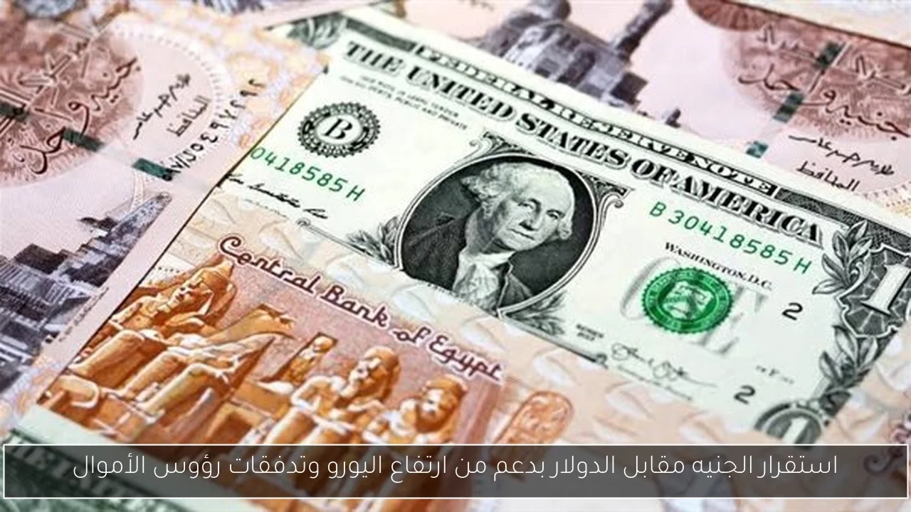 استقرار الجنيه مقابل الدولار بدعم من ارتفاع اليورو وتدفقات رؤوس الأموال