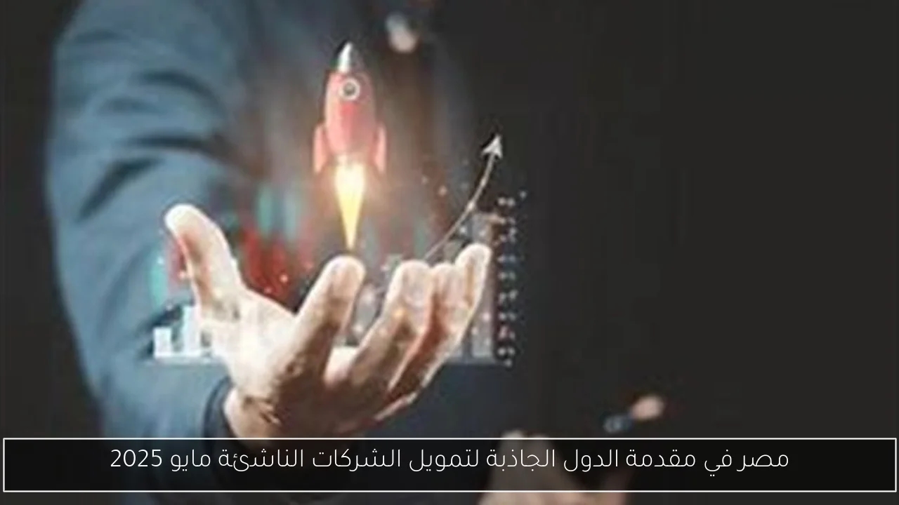 مصر في مقدمة الدول الجاذبة لتمويل الشركات الناشئة مايو 2025