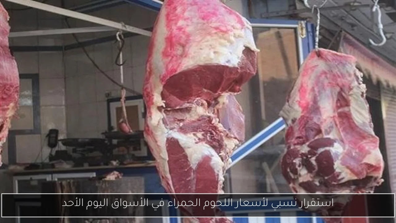 استقرار نسبي لأسعار اللحوم الحمراء في الأسواق اليوم الأحد