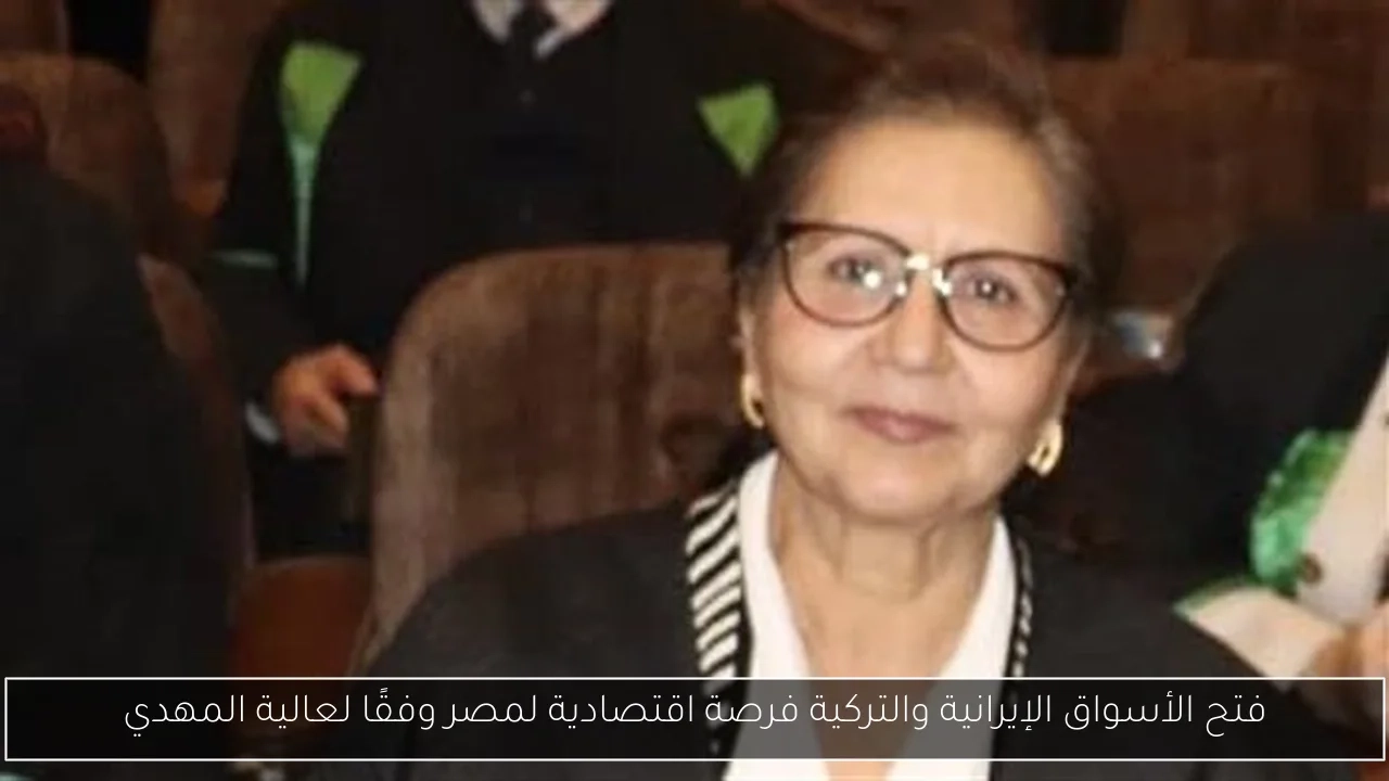 فتح الأسواق الإيرانية والتركية فرصة اقتصادية لمصر وفقًا لعالية المهدي