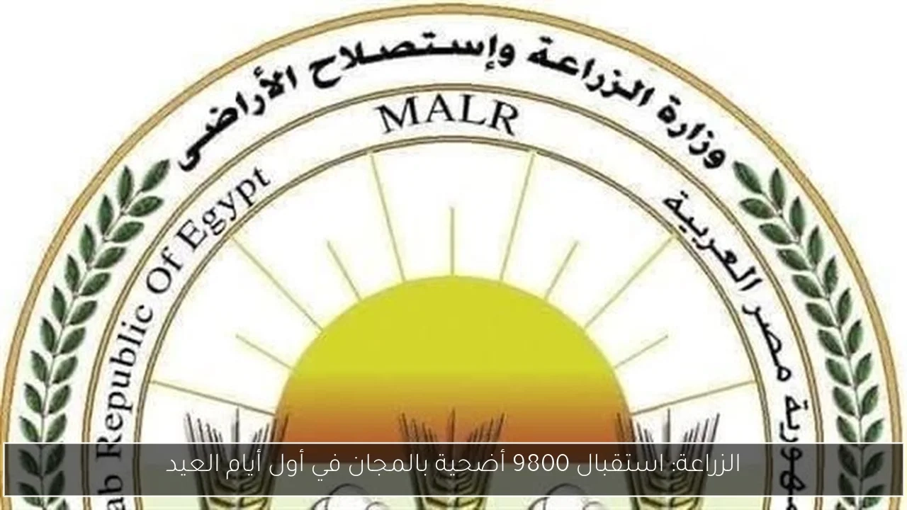 الزراعة: استقبال 9800 أضحية بالمجان في أول أيام العيد