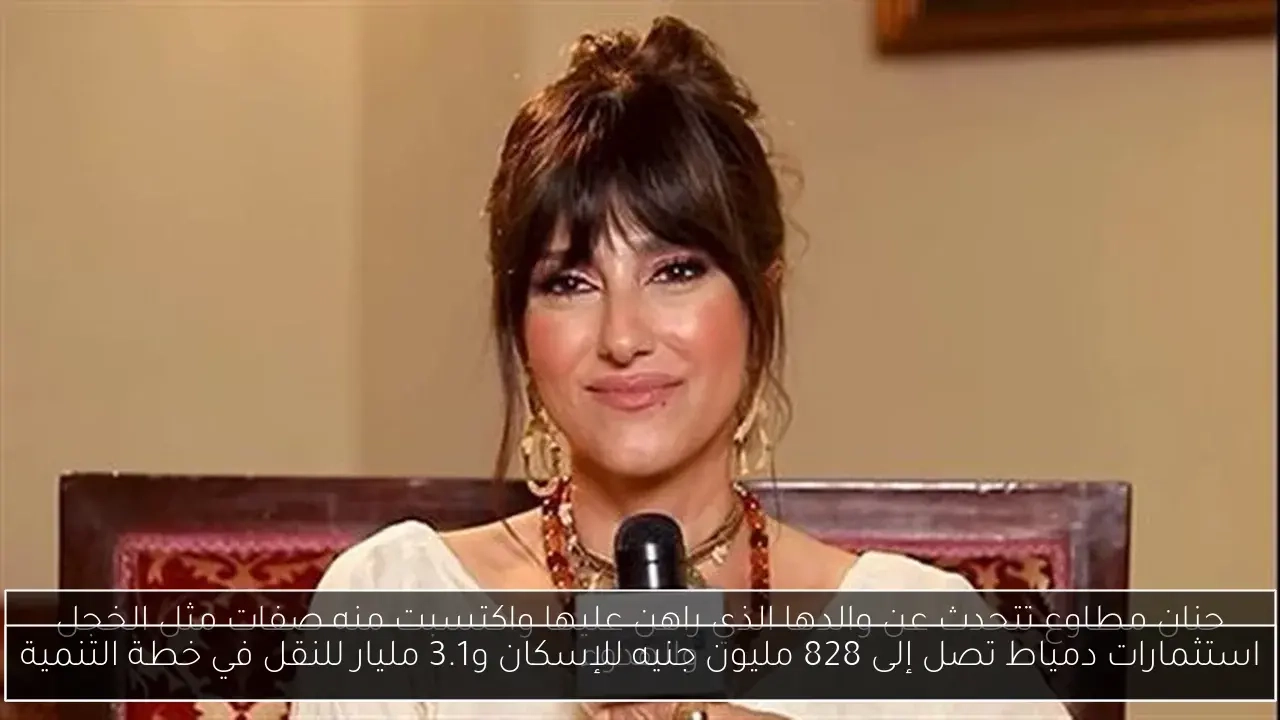 استثمارات دمياط تصل إلى 828 مليون جنيه للإسكان و3.1 مليار للنقل في خطة التنمية