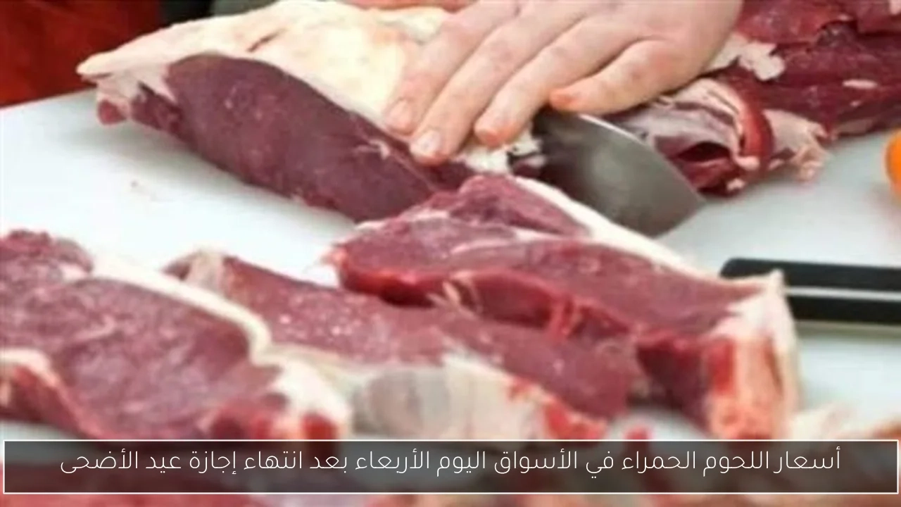 أسعار اللحوم الحمراء في الأسواق اليوم الأربعاء بعد انتهاء إجازة عيد الأضحى