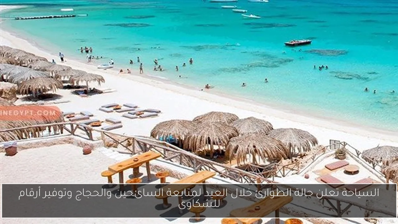 السياحة تعلن حالة الطوارئ خلال العيد لمتابعة السائحين والحجاج وتوفير أرقام للشكاوى