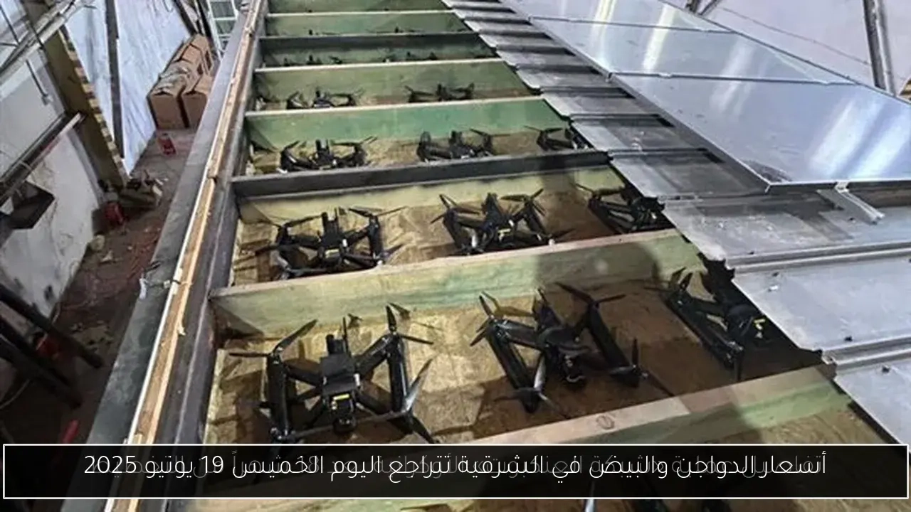 أسعار الدواجن والبيض في الشرقية تتراجع اليوم الخميس 19 يونيو 2025