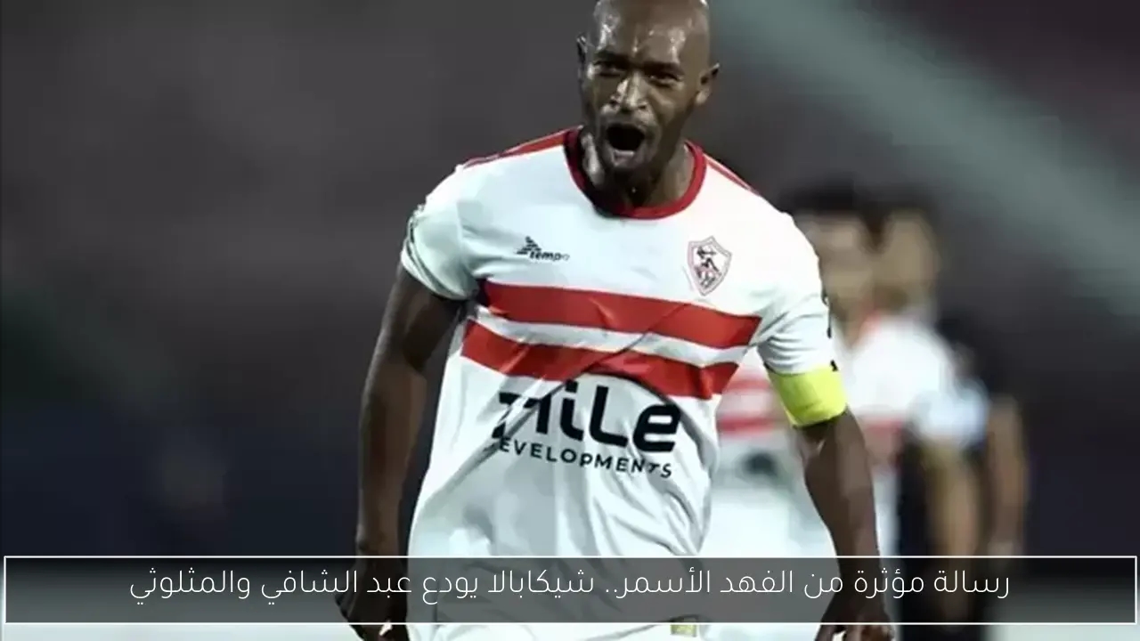 رسالة مؤثرة من الفهد الأسمر.. شيكابالا يودع عبد الشافي والمثلوثي