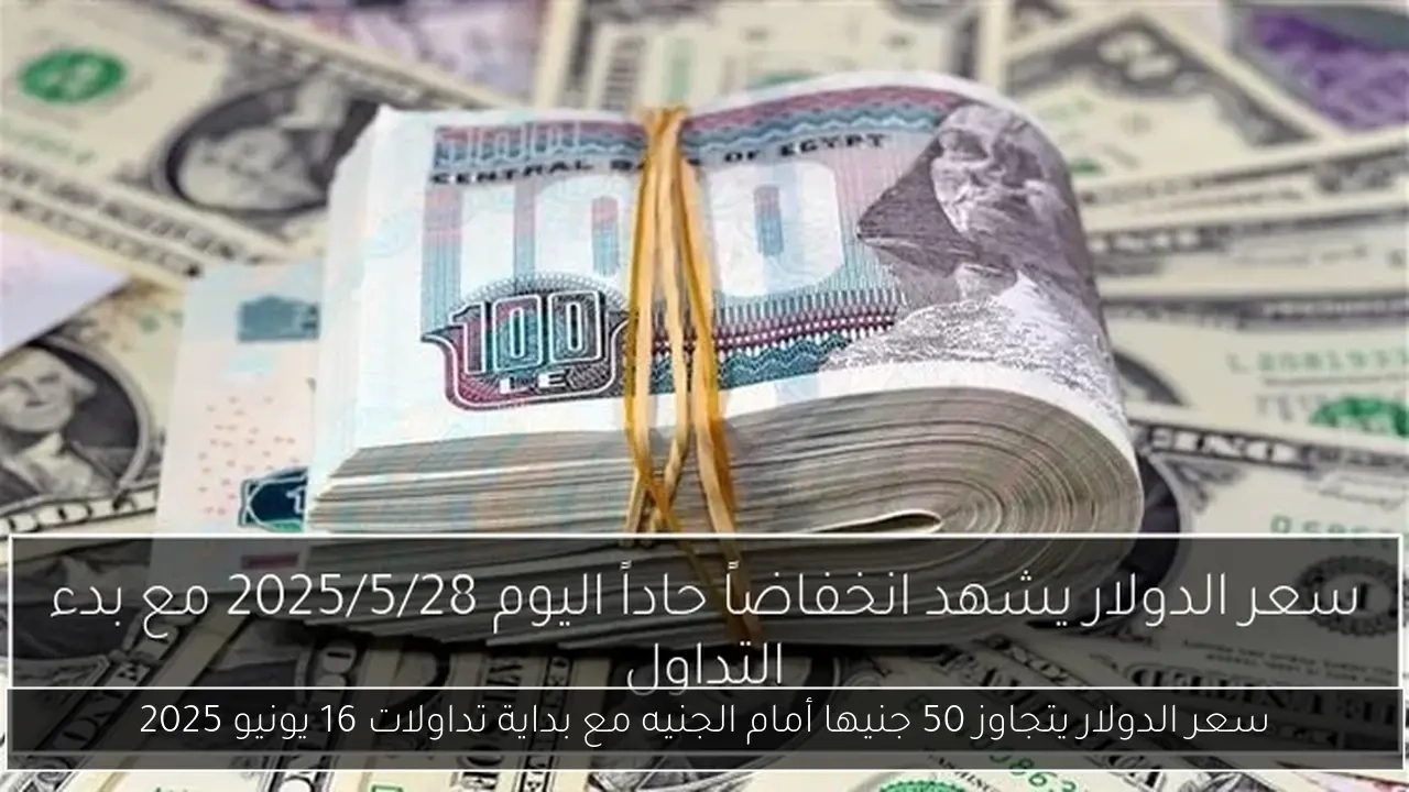 سعر الدولار يتجاوز 50 جنيها أمام الجنيه مع بداية تداولات 16 يونيو 2025