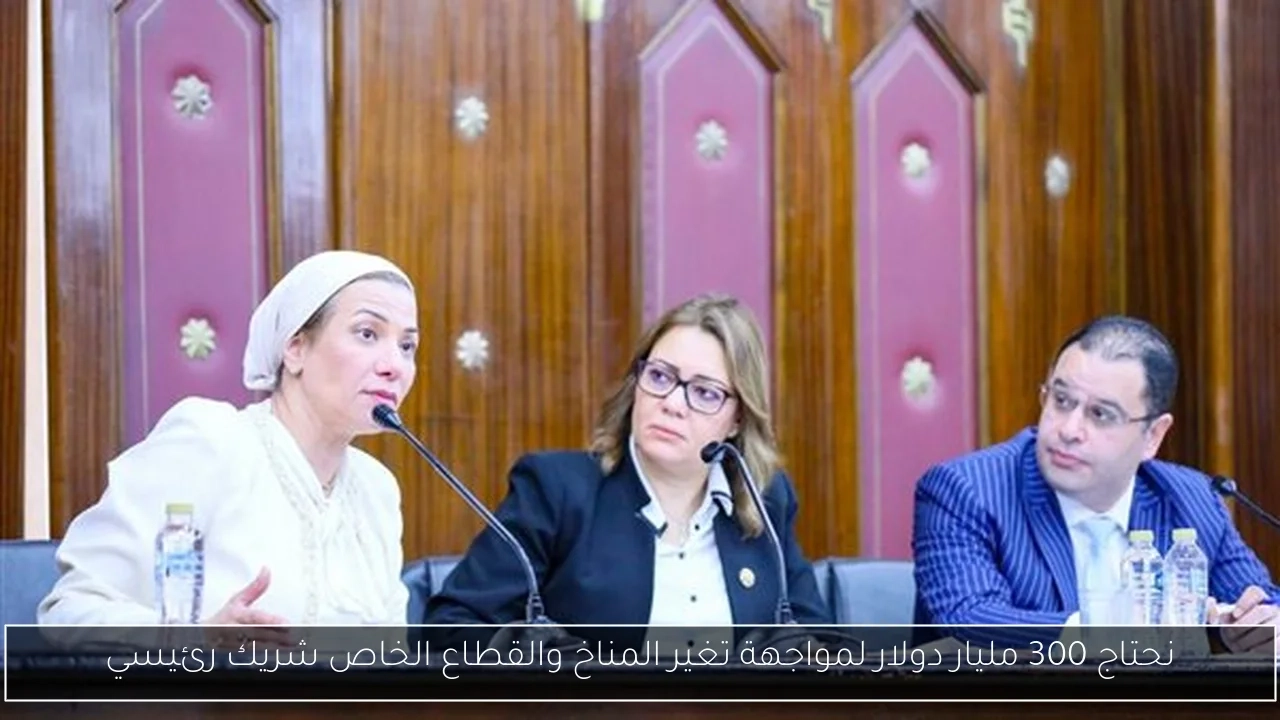 نحتاج 300 مليار دولار لمواجهة تغير المناخ والقطاع الخاص شريك رئيسي