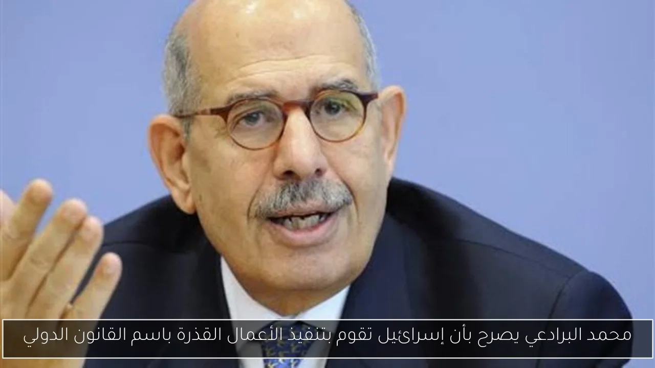 محمد البرادعي يصرح بأن إسرائيل تقوم بتنفيذ الأعمال القذرة باسم القانون الدولي
