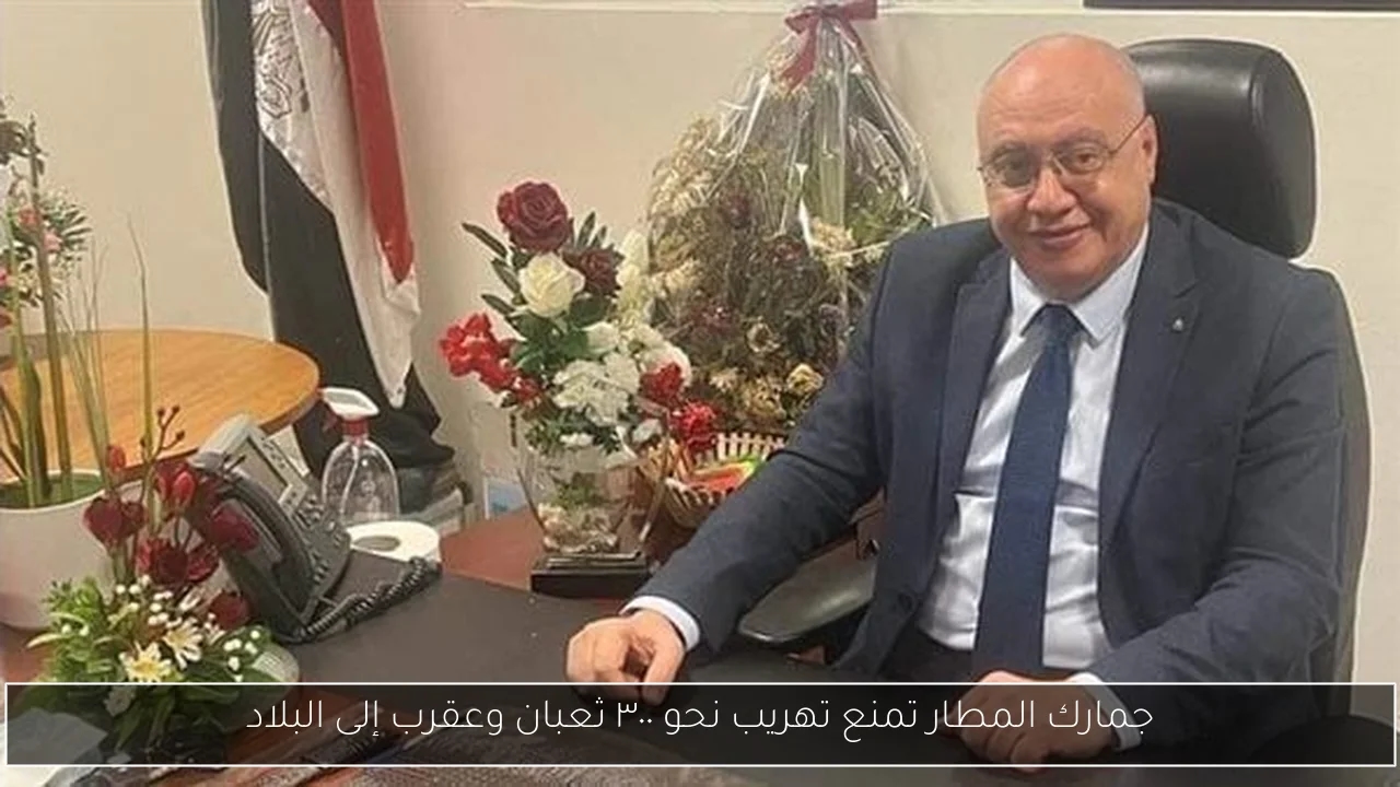 جمارك المطار تمنع تهريب نحو ٣٠٠ ثعبان وعقرب إلى البلاد
