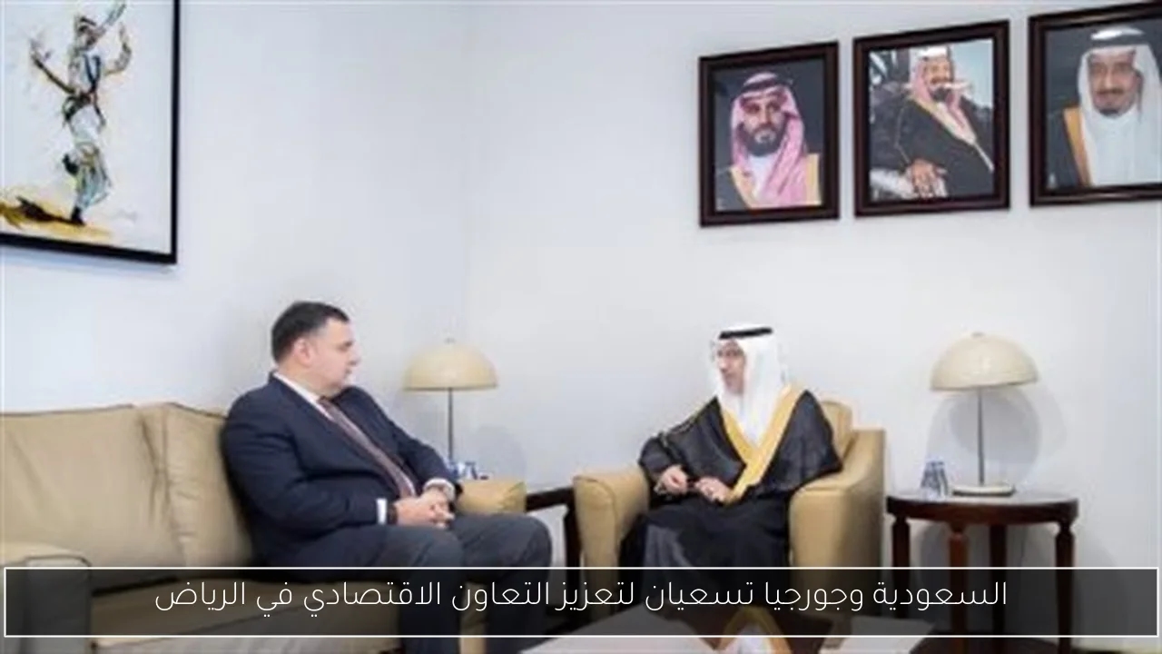 السعودية وجورجيا تسعيان لتعزيز التعاون الاقتصادي في الرياض