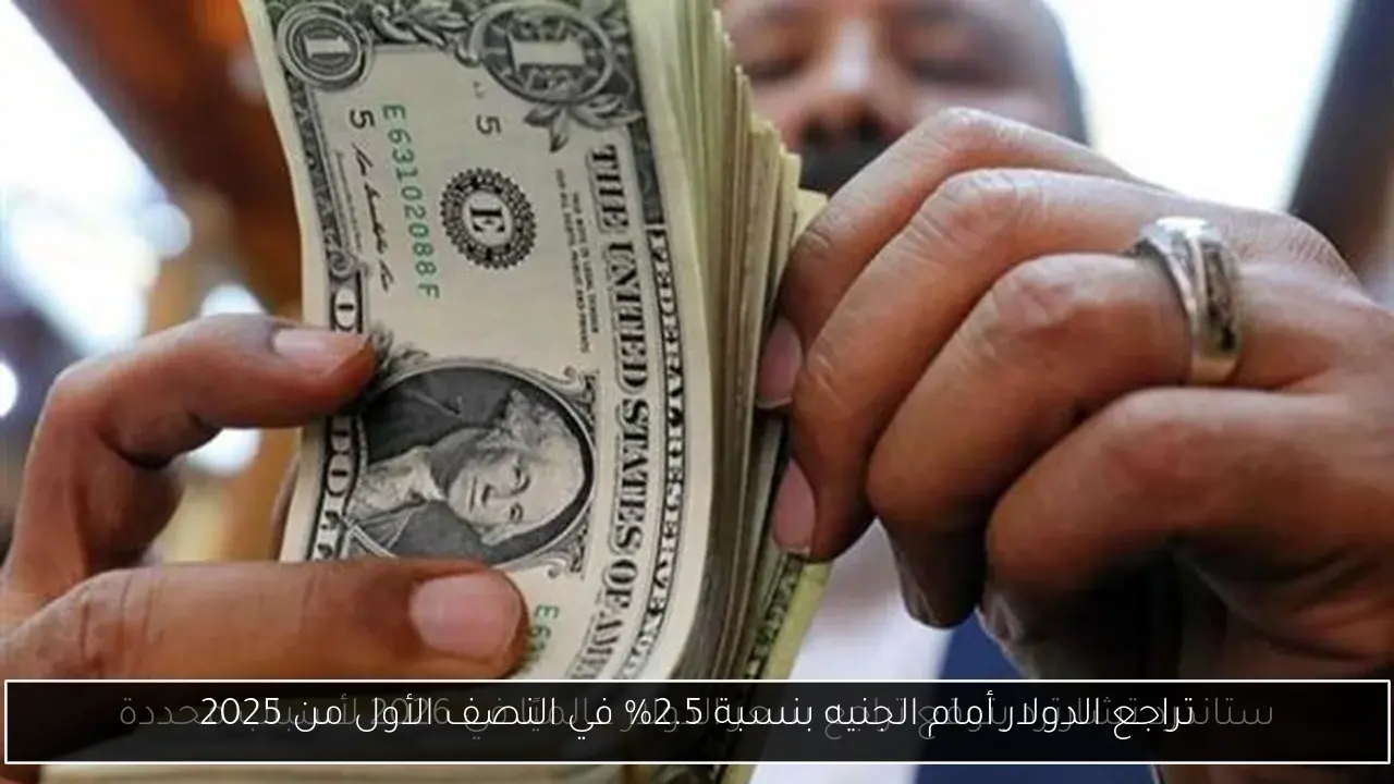 تراجع الدولار أمام الجنيه بنسبة 2.5% في النصف الأول من 2025